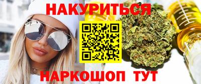 крисы Новодвинск