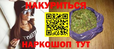 крисы Новодвинск